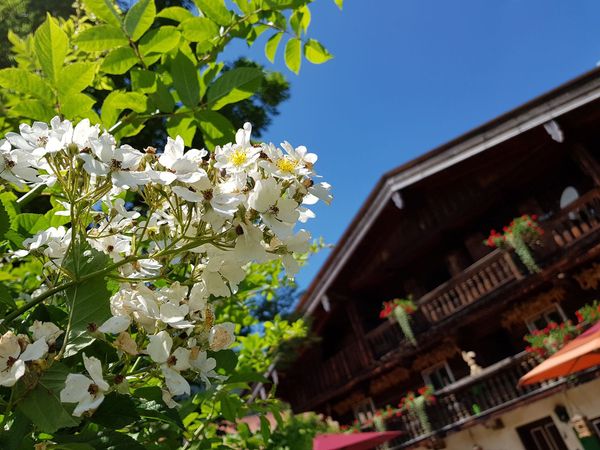 Frühling auf dem Hof